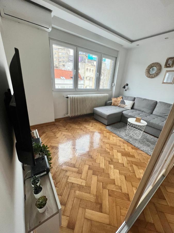 Comfortable Apartment In City Hub Belgrade Exterior photo